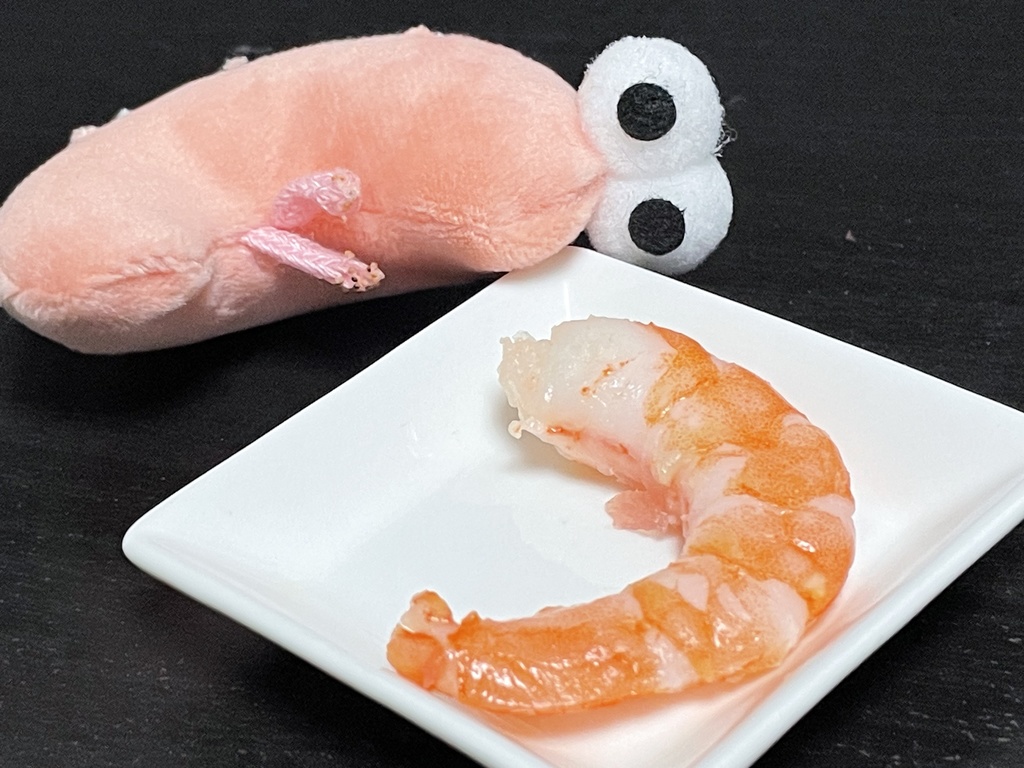 腰痛の剥きエビ