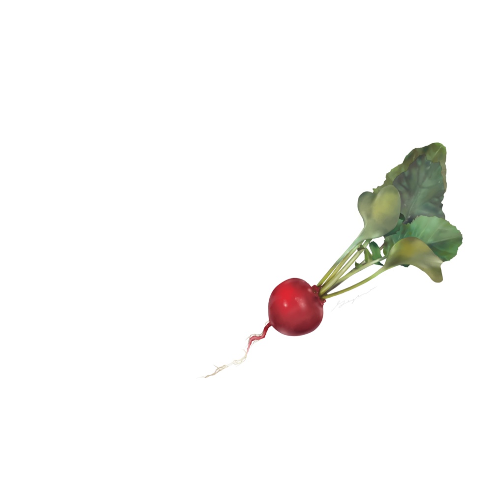 赤かぶのメッセージカード