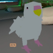 鳥