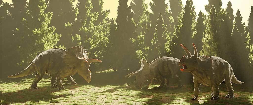 マグカップ(陽光-トリケラトプス)