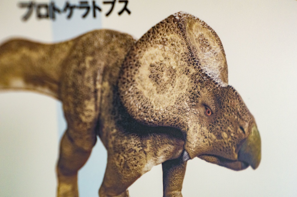 恐竜ポスター(系統樹)