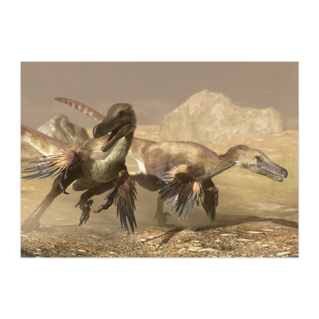 ポスター（ヴェロキラプトル）