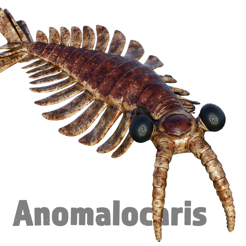 アノマロカリス（Paleorium 追加コンテンツ）