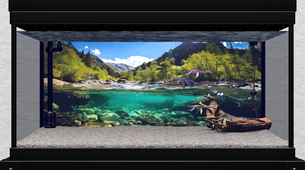 Paleorium(パレオリウム)【アプリ本体】