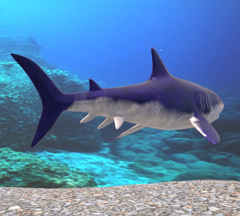 メガロドン(Paleorium 追加コンテンツ)