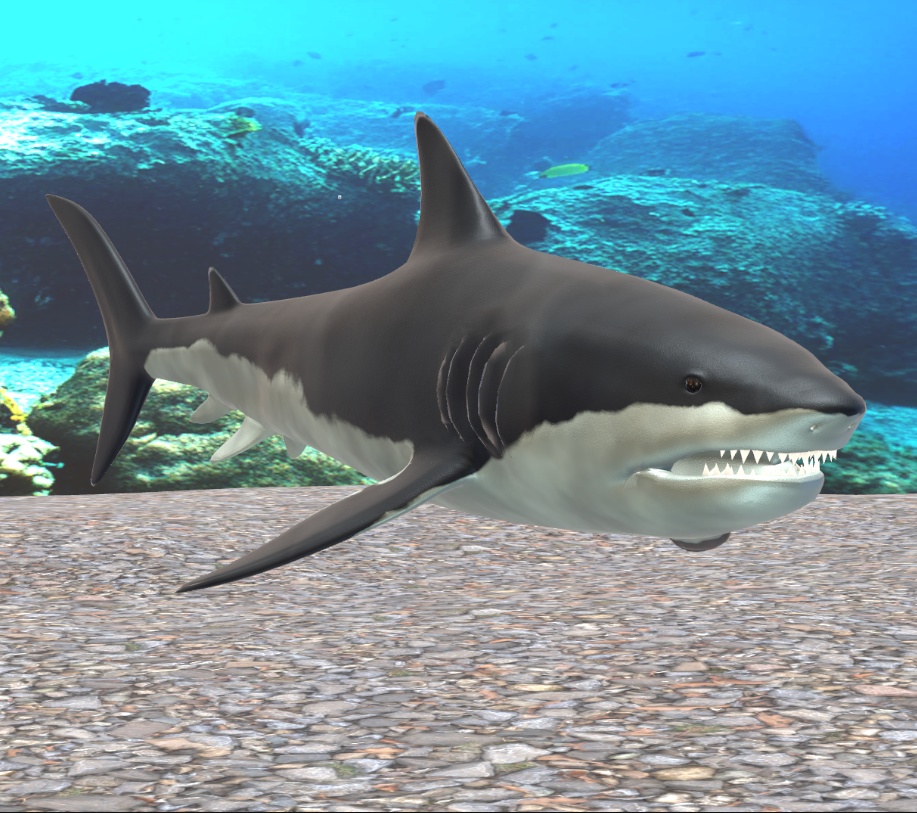 メガロドン(Paleorium 追加コンテンツ)