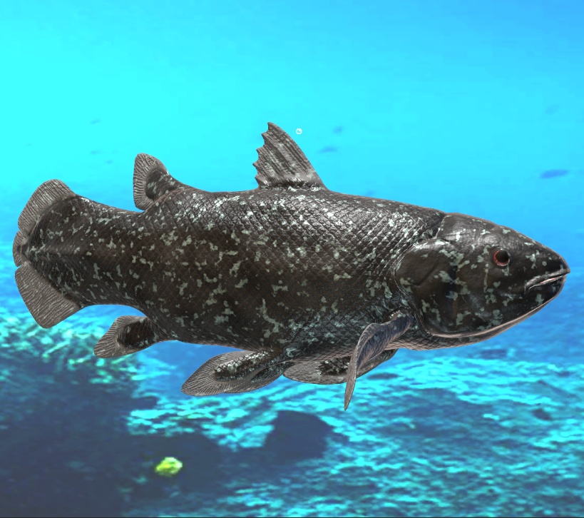 魚類4種セット(Paleorium 追加コンテンツ)