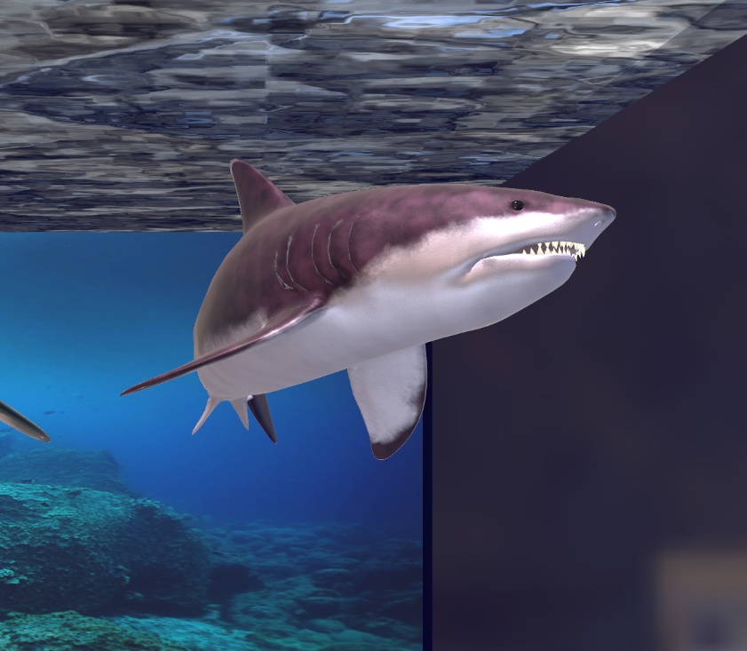 魚類4種セット(Paleorium 追加コンテンツ)