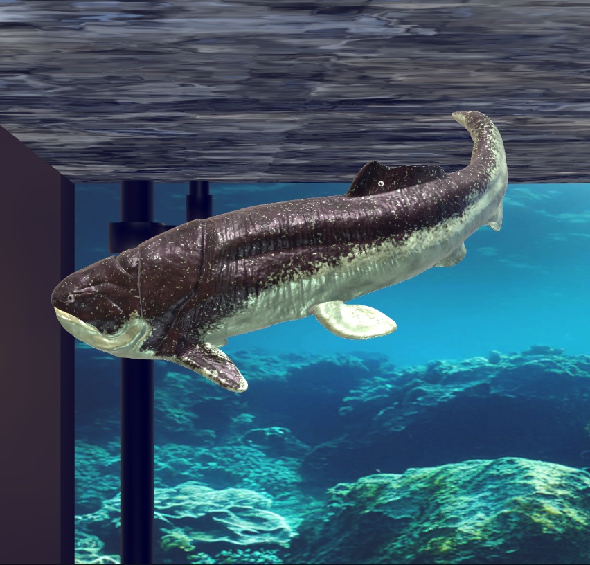 魚類4種セット(Paleorium 追加コンテンツ)