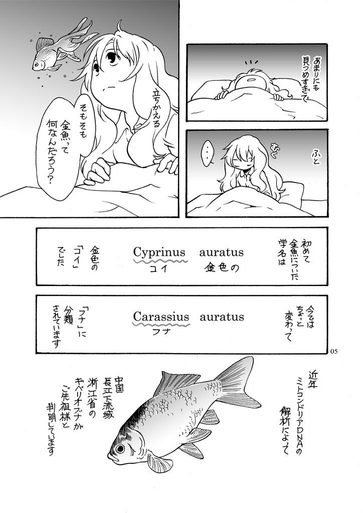 きんぎょすくい