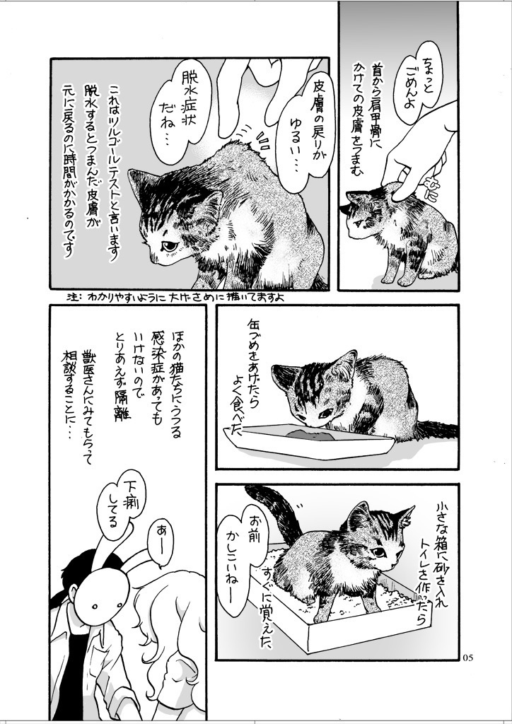 ねこと