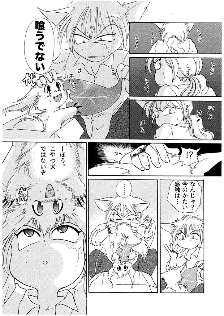 竜の飼い方教えます01