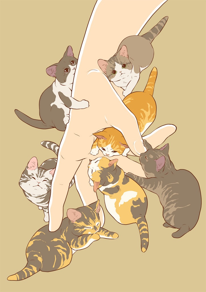 ねこのつめあわせ