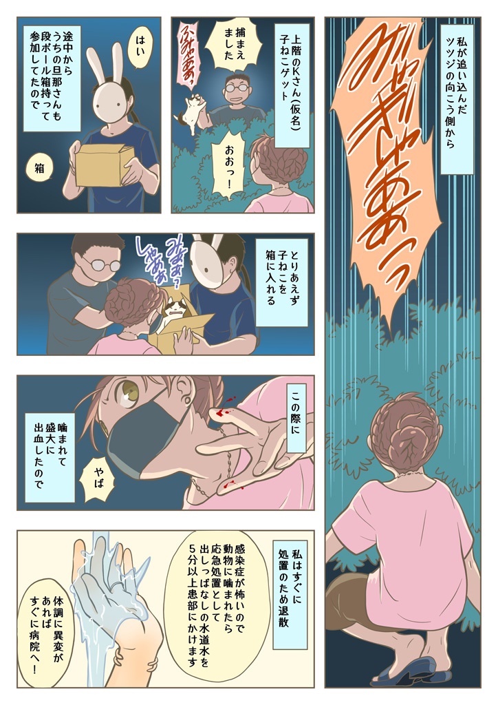 こねこをひろっただけなのに