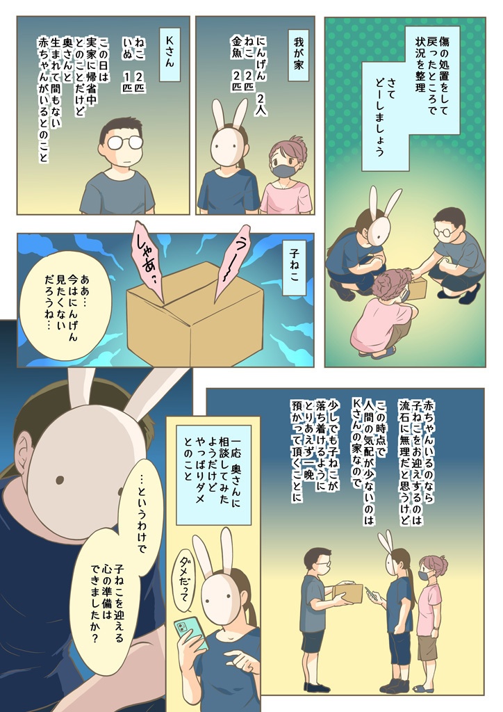 こねこをひろっただけなのに