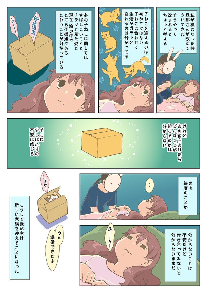 こねこをひろっただけなのに