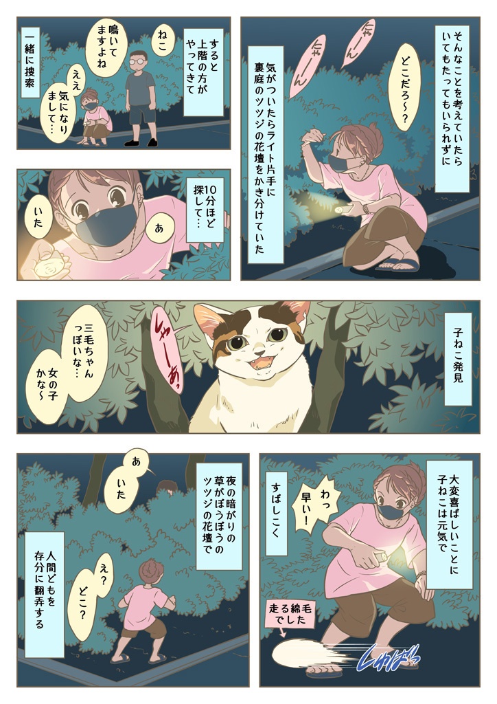 こねこをひろっただけなのに