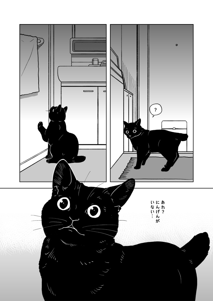 おうちねこじかん