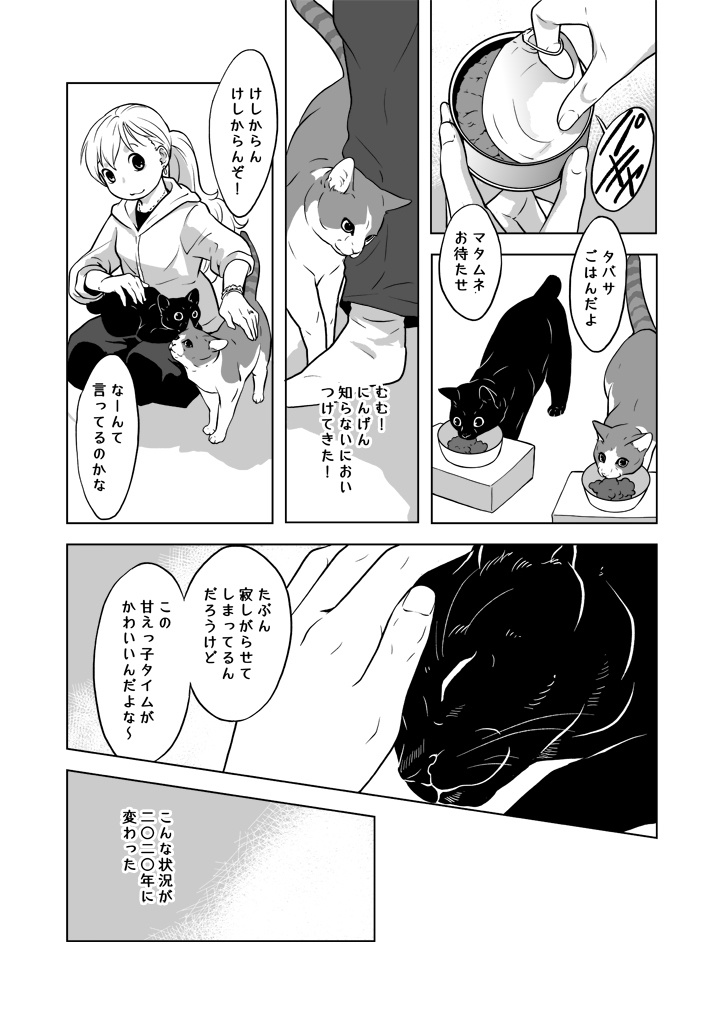 おうちねこじかん