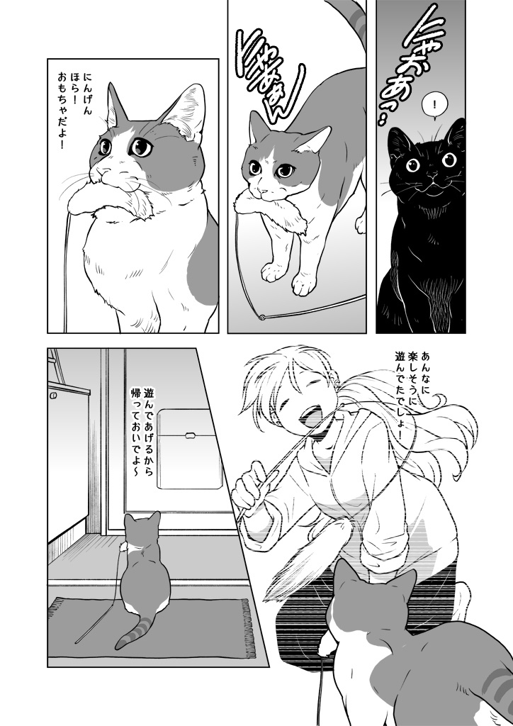 おうちねこじかん