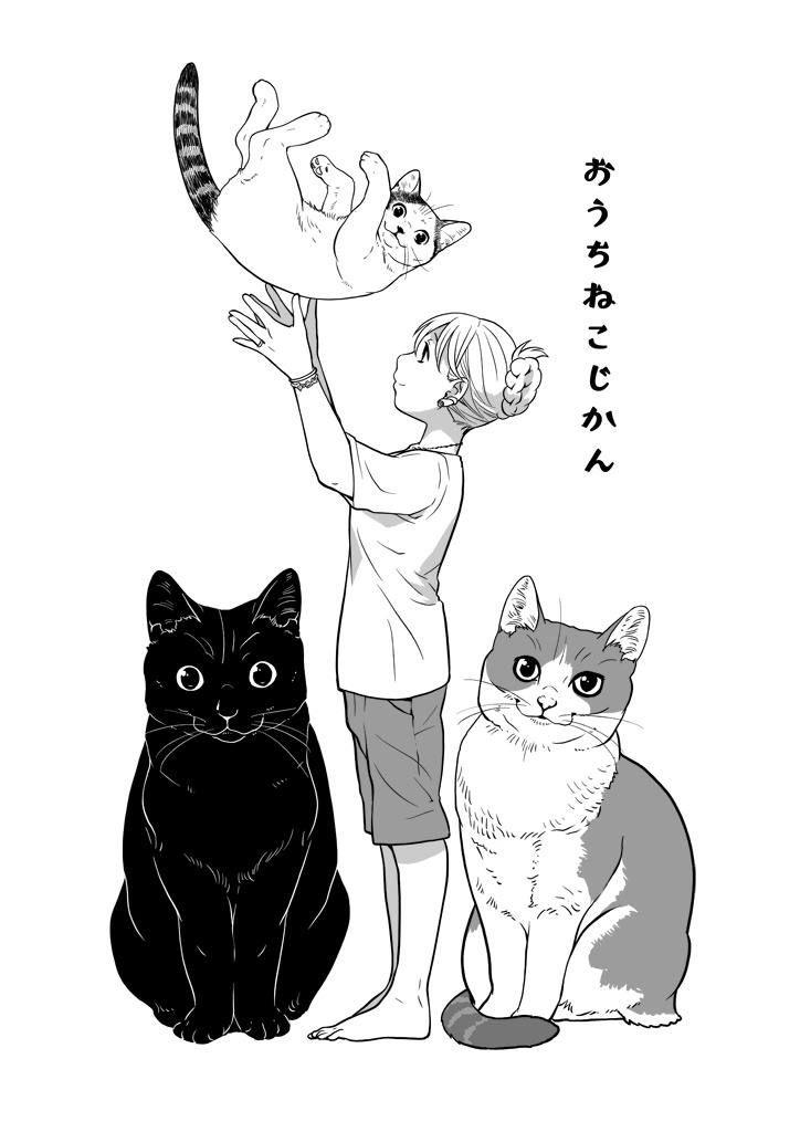 おうちねこじかん