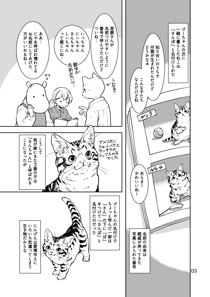 (7月20日配信)ねこのあれこれ