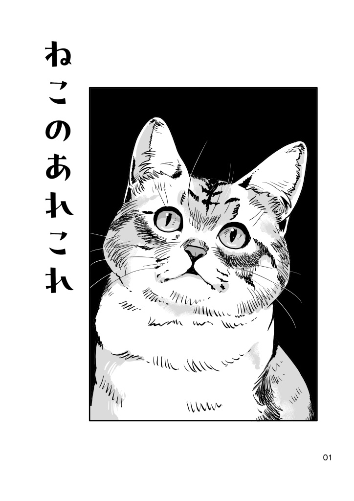 (7月20日配信)ねこのあれこれ