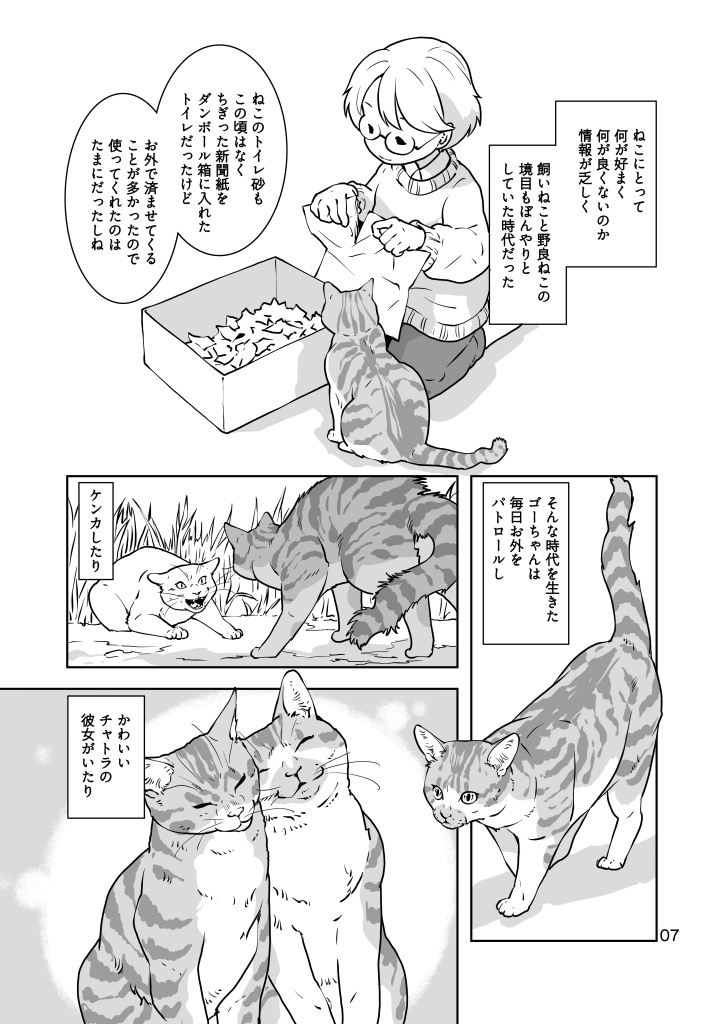 (7月20日配信)ねこのあれこれ