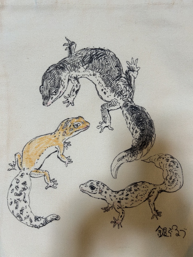 ３匹のレオパ