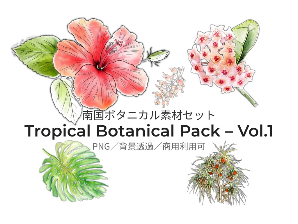 Tropical Botanical Pack – Vol.1（PNG素材／背景透過／商用利用可）