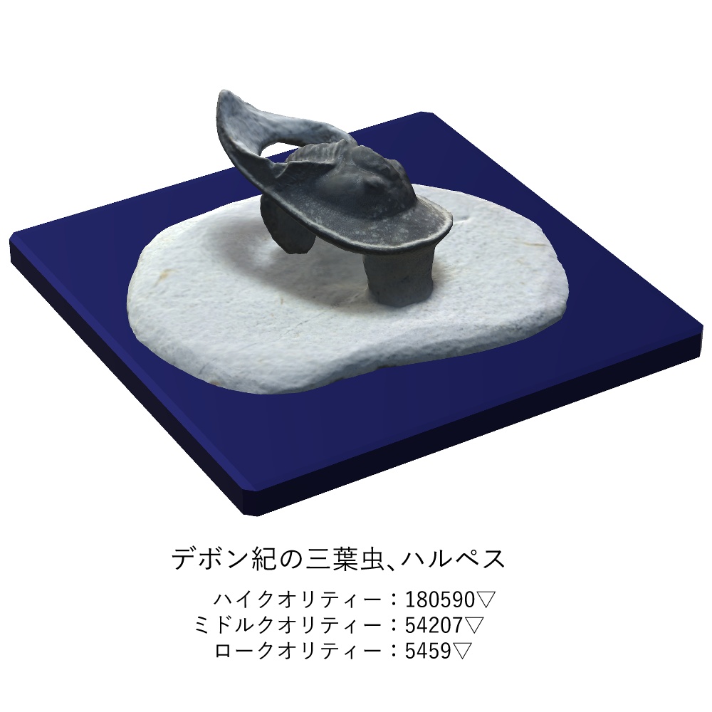 化石インテリア3点セット