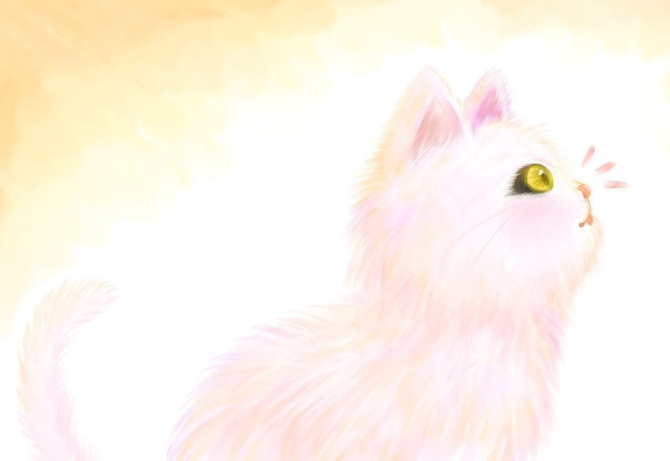 紙芝居風ポストカードセット