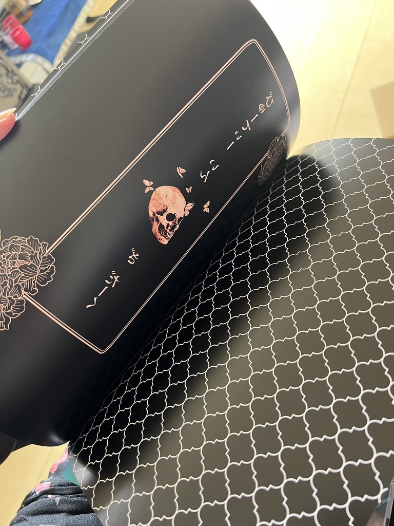 Beauty in the dark(イラスト集)