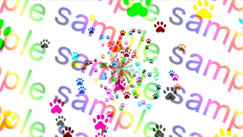 【APNG+MP4】猫の足跡がいっぱい【ループ有/透過有】