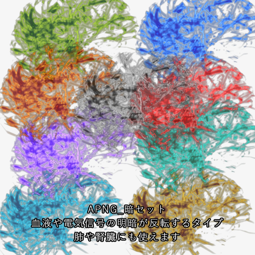 【APNG+動画】脳神経・臓器活動【ループ+透過有】