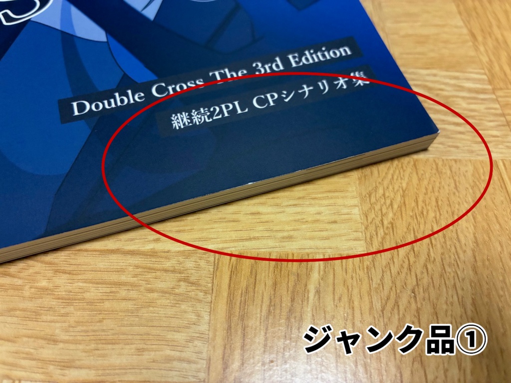 【DX3rd 2PL学校CPシナリオ】Invisible School【書籍版】