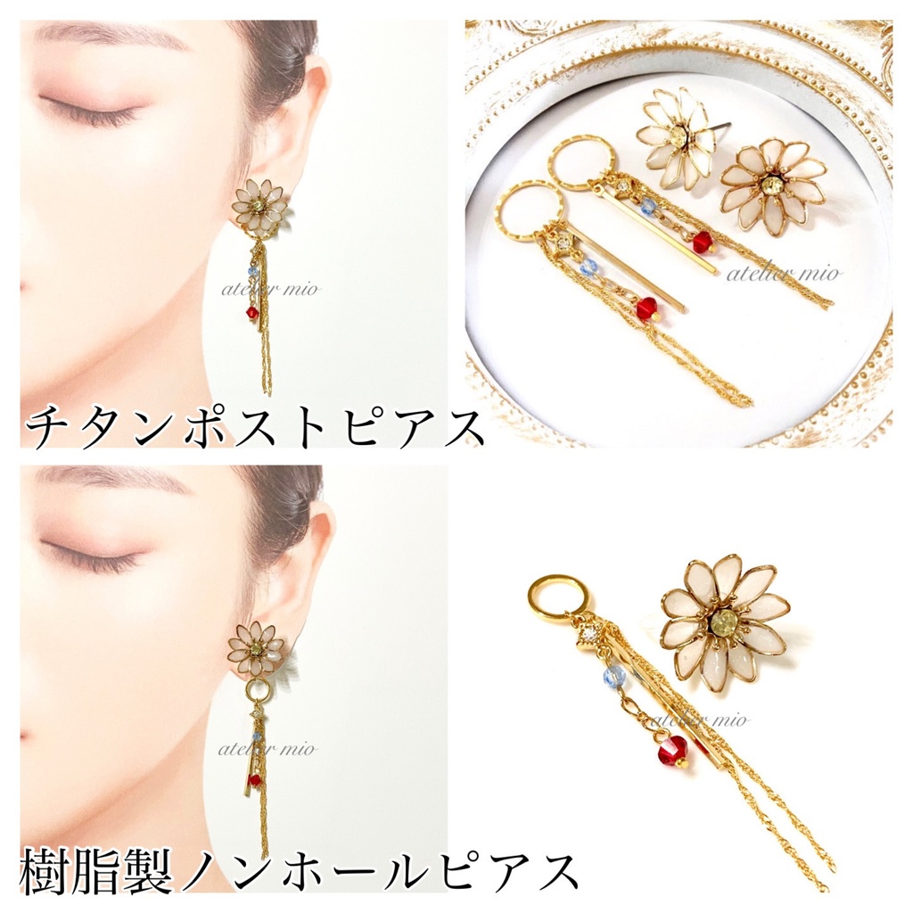 菊花 亀甲・則宗【刀剣乱舞】