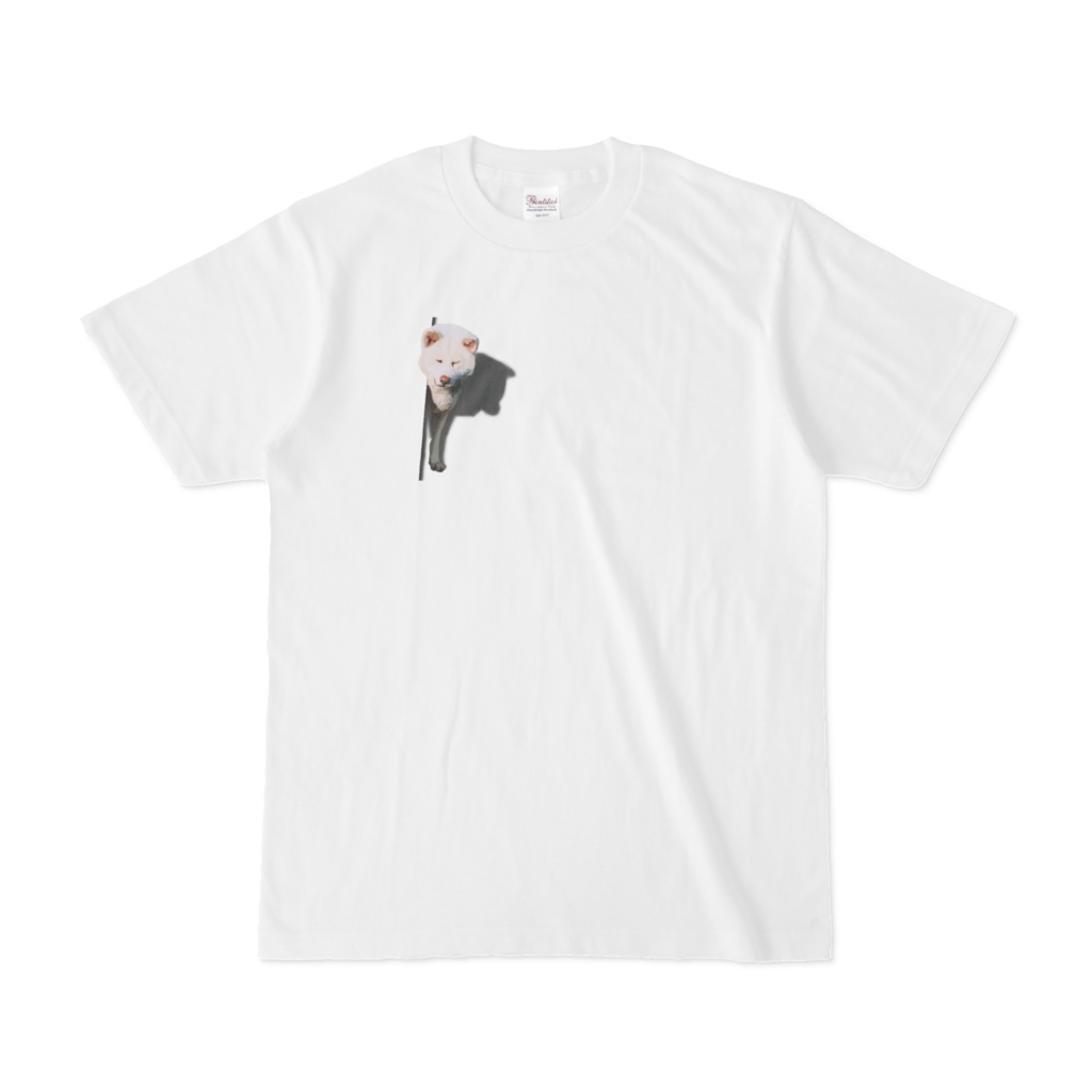 ひょっこりわんこ 秋田犬 Tシャツ 右胸 ホワイト