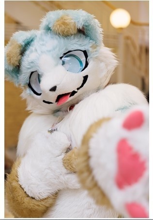 【第3弾】サイン入りあいすしゃしん🐾【写真ランダム】