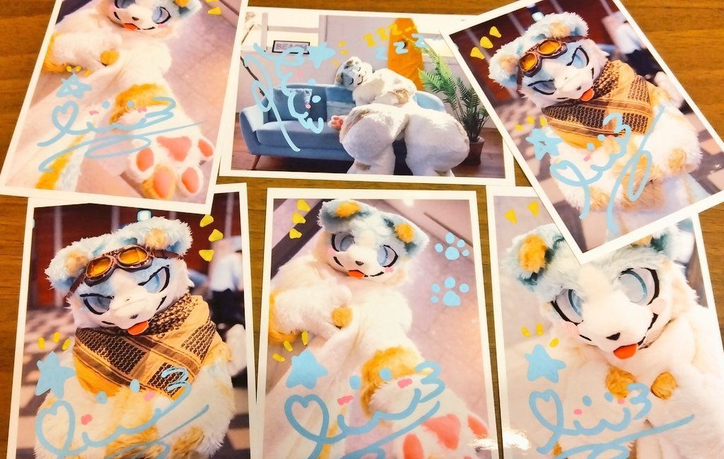 【第３弾】サイン入りあいすしゃしん🐾【写真ランダム】