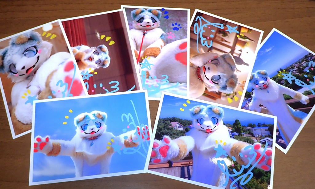 【第3弾】サイン入りあいすしゃしん🐾【写真ランダム】