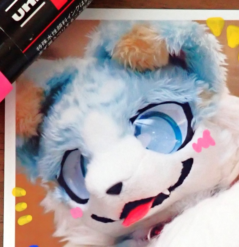 【第3弾】サイン入りあいすしゃしん🐾【写真ランダム】