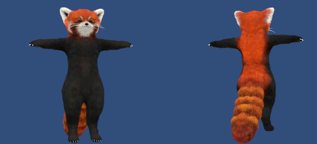 レッサーパンダ Red Panda