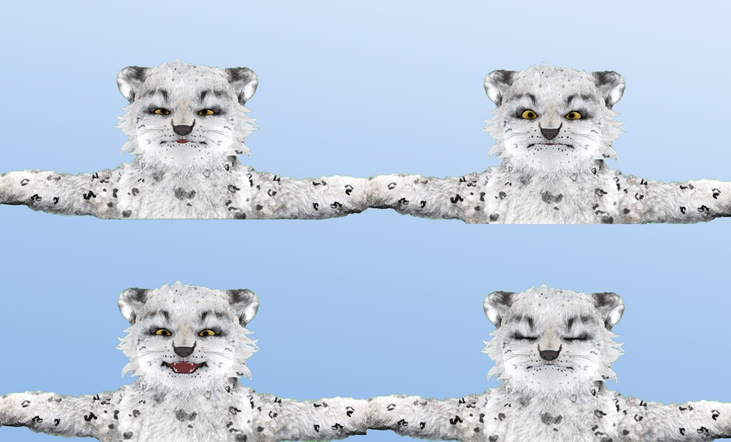 3Dキャラクター Snow Leopard
