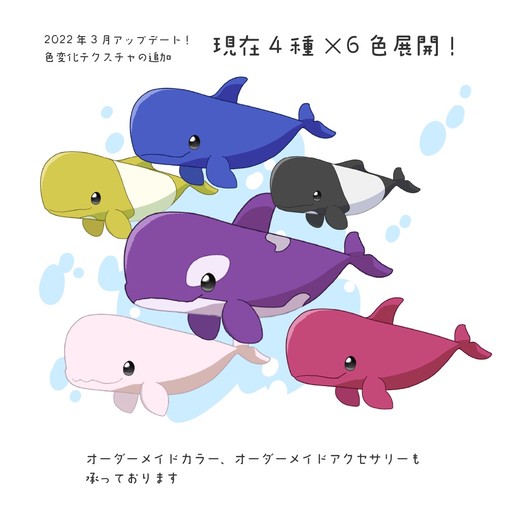 クジラのなかま4種