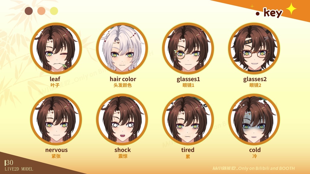 【For Display Only/仅展示】live2d模型-柿雪-VTS用