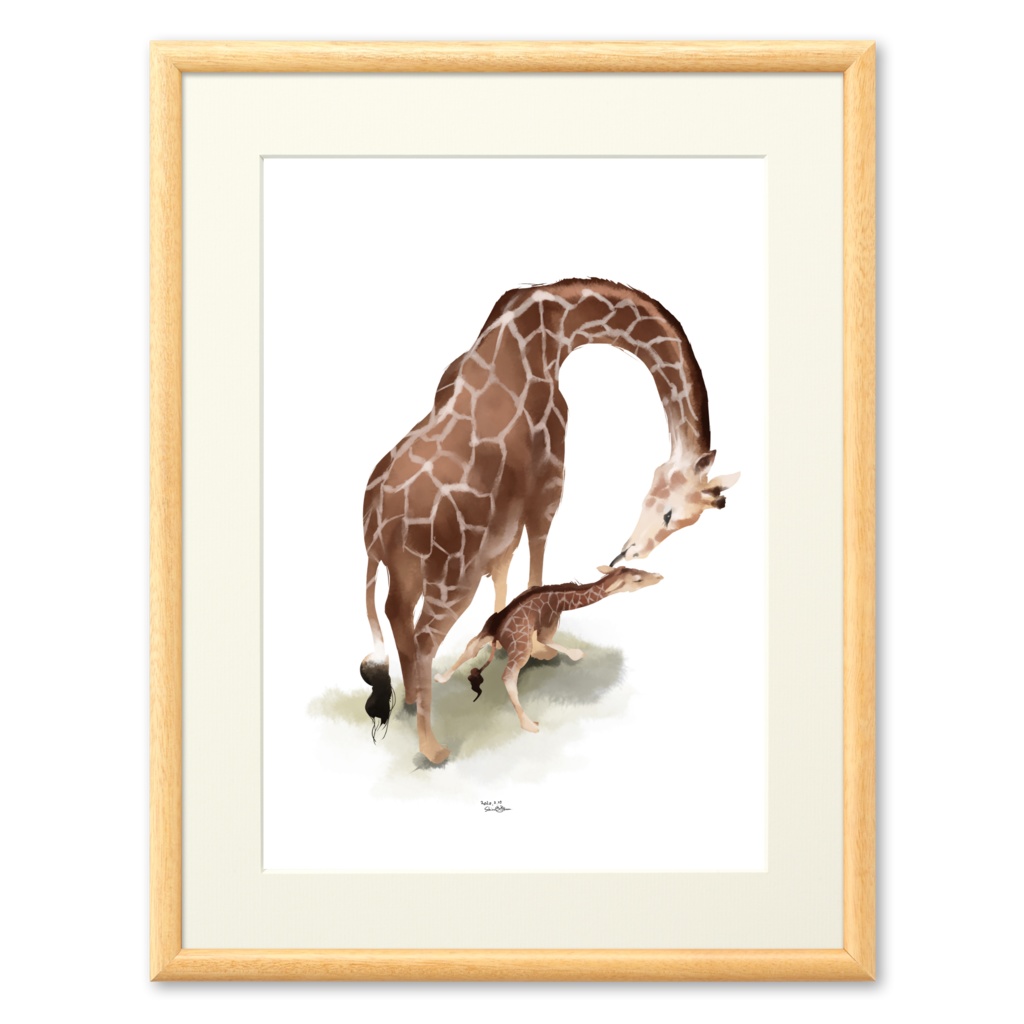 Animals
