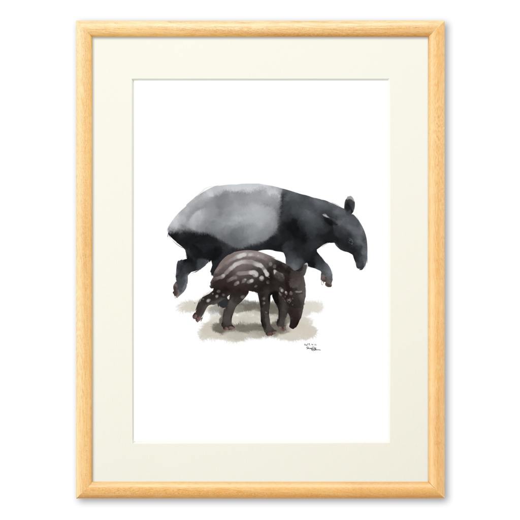 Animals