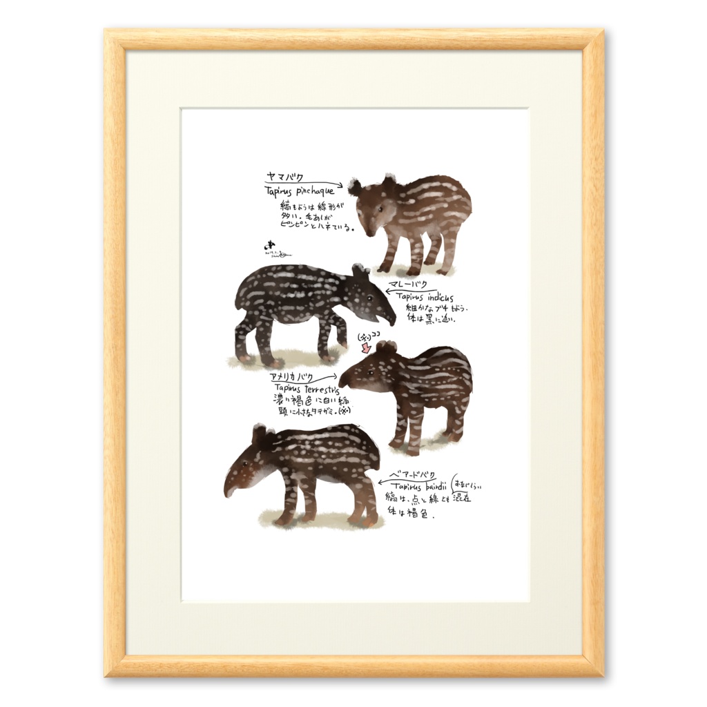 Animals