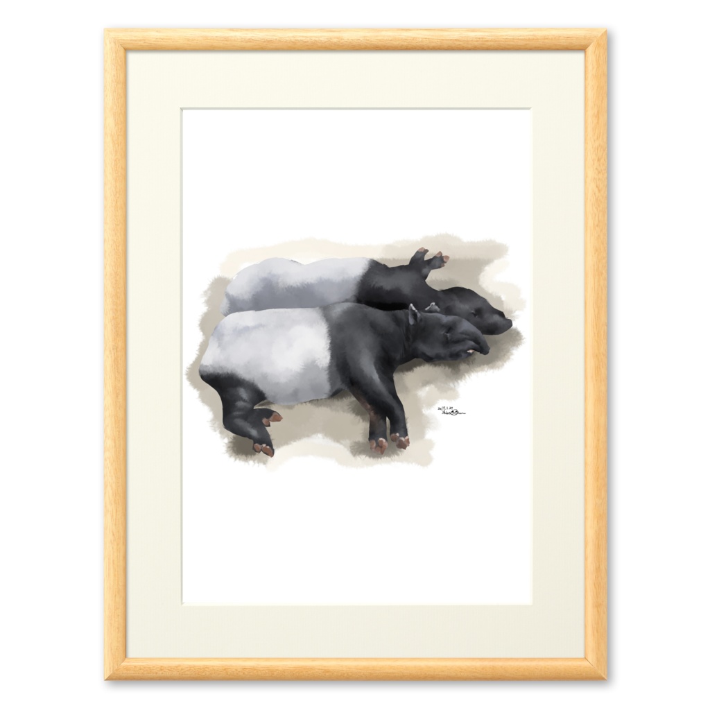 Animals